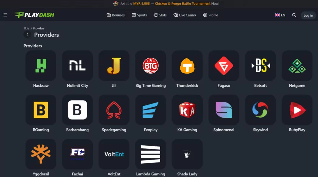 PlayDash providers